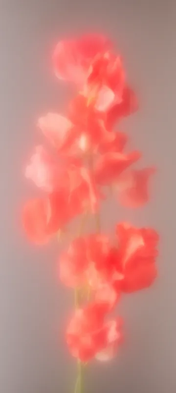 Nothing Phone 2 Mobile Wallpaper
