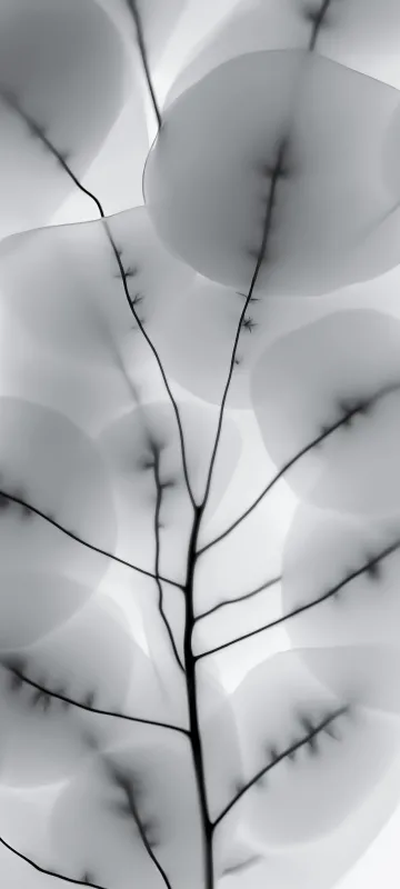 Nothing Phone 2 HD Wallpaper