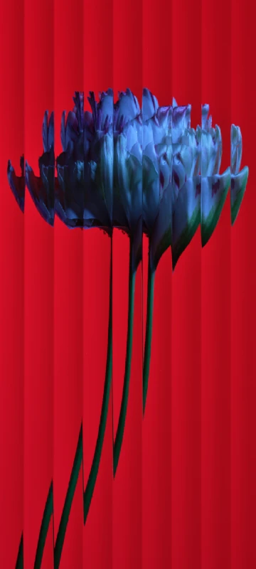 Nothing Phone 2 Stock Background