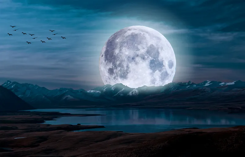 Giant moon over mountain lake wallpaper, Birds, Night sky