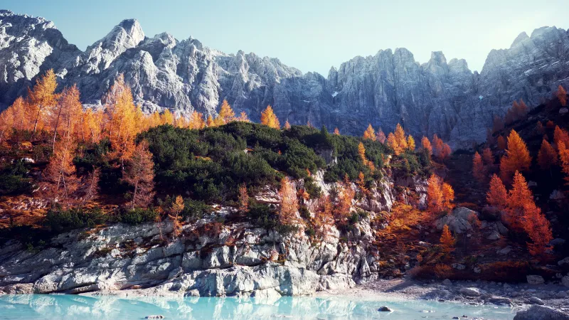 Sorapiss, Autumn larches, Dolomites, 4K wallpaper