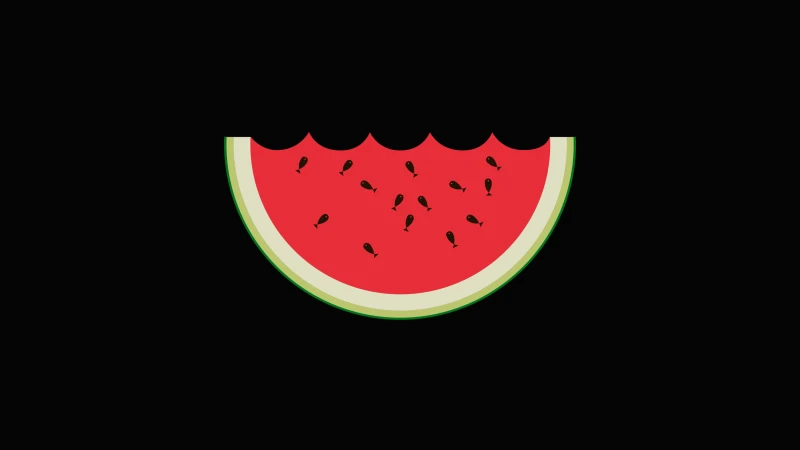Watermelon, Black background 4K