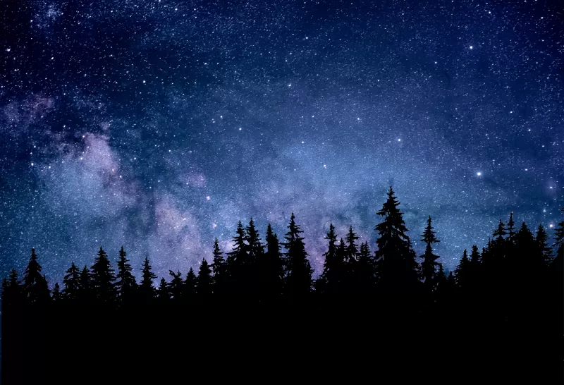 Night Starry sky wallpaper, Forest, Silhouette, Astronomy, Cosmos, 5K background