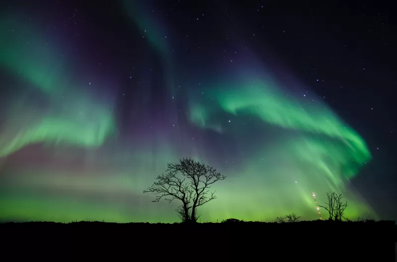 Aurora Borealis, Northern Lights, Night, 5K