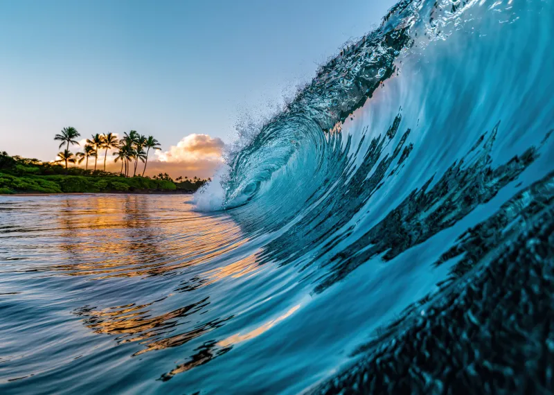 Hawaii ocean