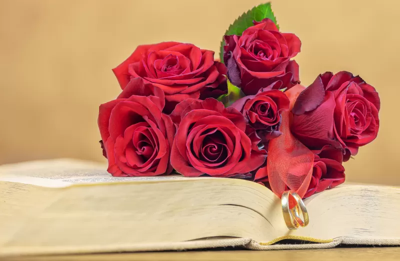 Red Roses, Wedding rings, Book, Valentine's Day, 5K