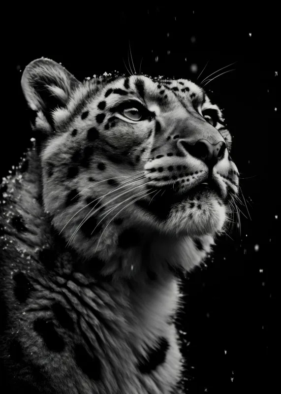 Snow leopard, Dark iPhone wallpaper