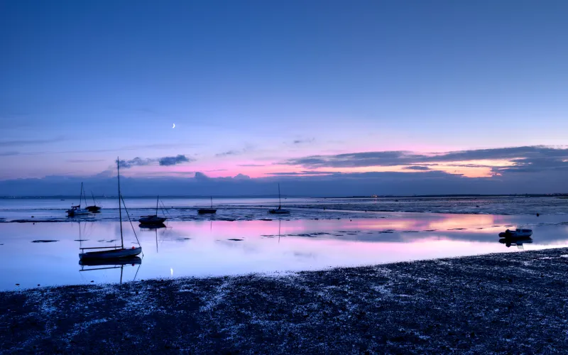 Moored sailboats at dusk, Tidal flats, Pink sky, 5K wallpaper