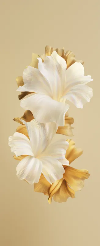 Tecno Phantom V Flip, Stock wallpaper