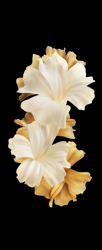 Tecno Phantom V Flip, Stock wallpaper