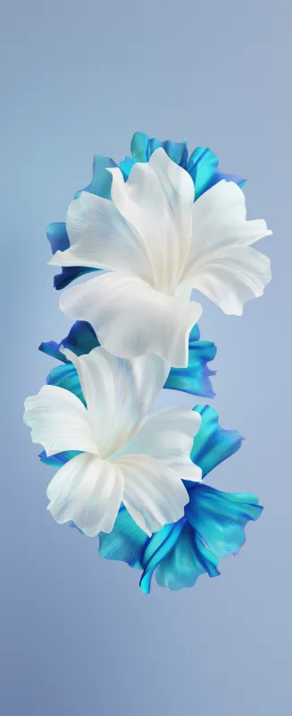 Tecno Phantom V Flip, Stock wallpaper