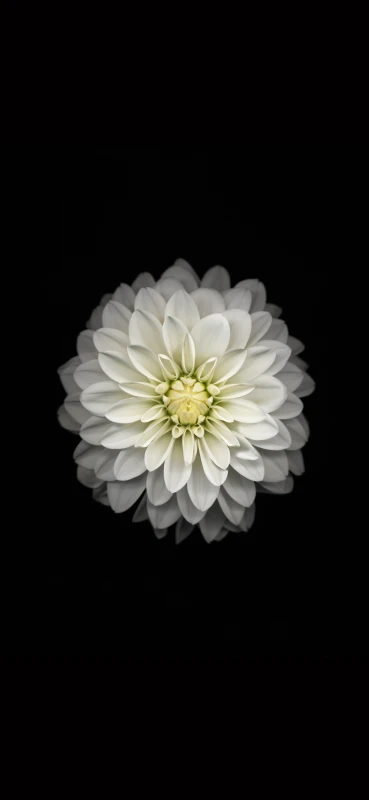 iPhone 15 Pro Max AMOLED wallpaper