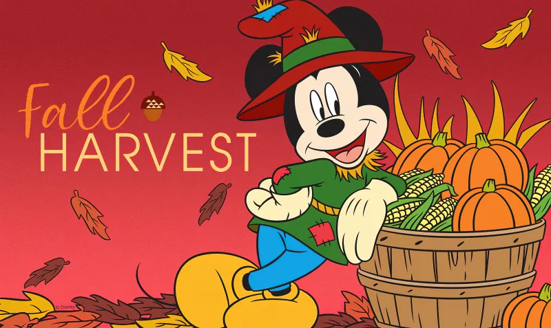 Mickey Mouse Thanksgiving, 4K wallpaper, Fall harvest