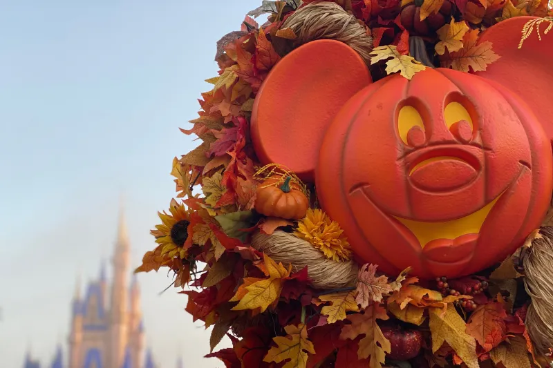 Disney thanksgiving, 4k background