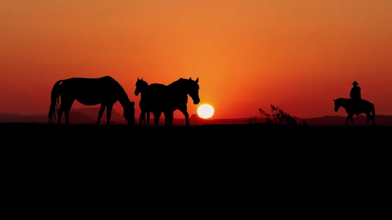 Sunset, Cowboy, Silhouette, Western, 4K