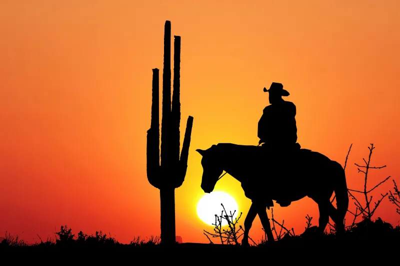 Cowboy, Sunset, Silhouette, Western, 5K