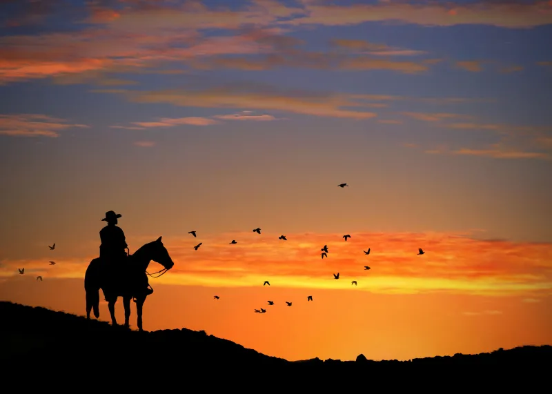 Western cowboy, Silhouette, Sunset, 4k background
