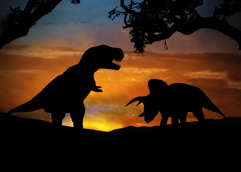 Dinosaurs, Silhouette, 4k background