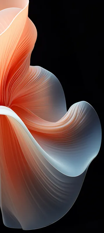 ColorOS 14 Original Wallpaper