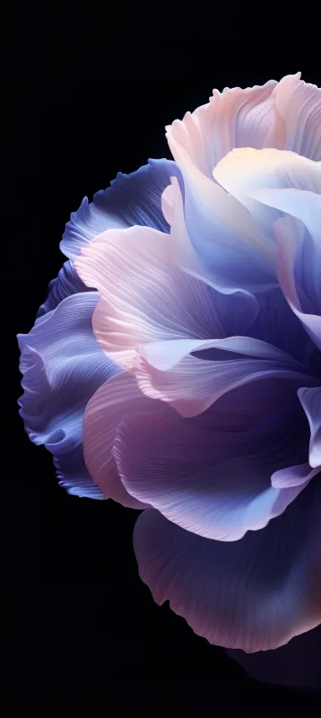 Oppo ColorOS 14 Background