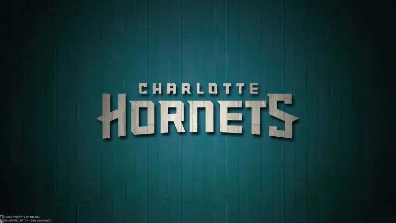 Charlotte Hornets QHD Background