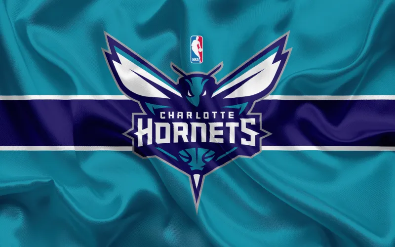 Charlotte Hornets 4K Wallpaper, NBA