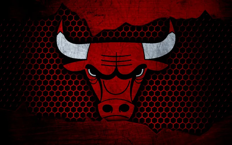 Chicago Bulls Ultra HD Background
