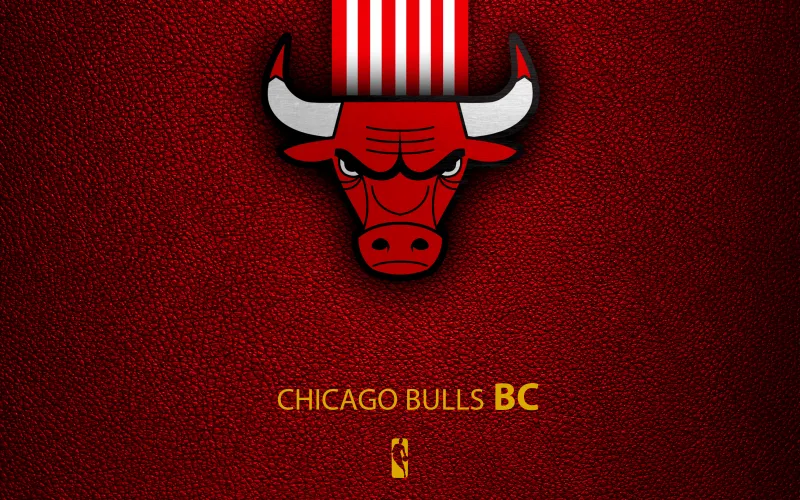 Chicago Bulls 4K Background