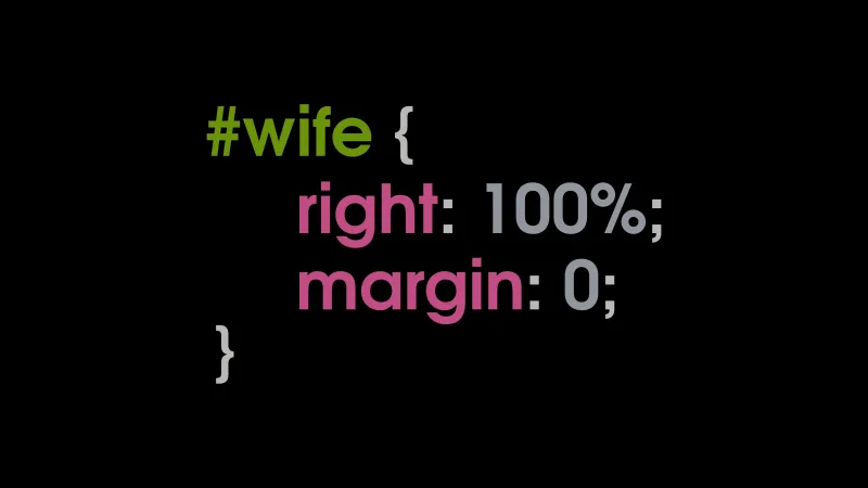 Wife jokes, Programmer jokes