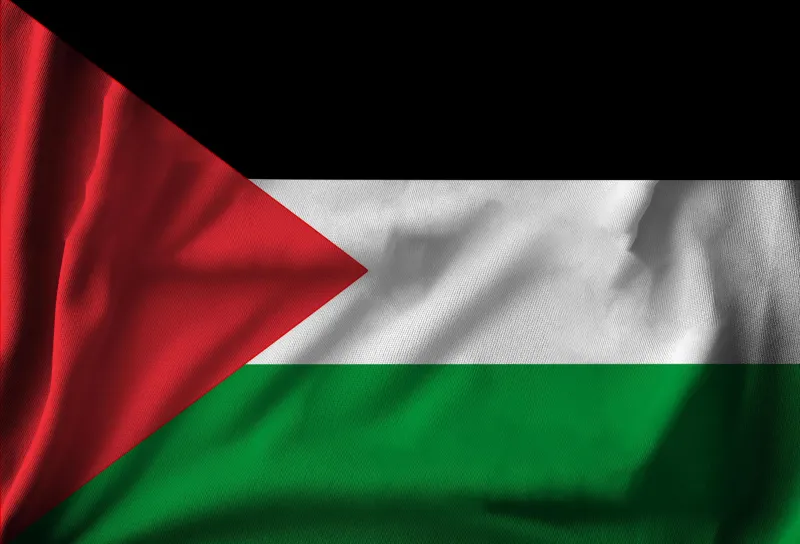 Flag of Palestine, HD wallpaper