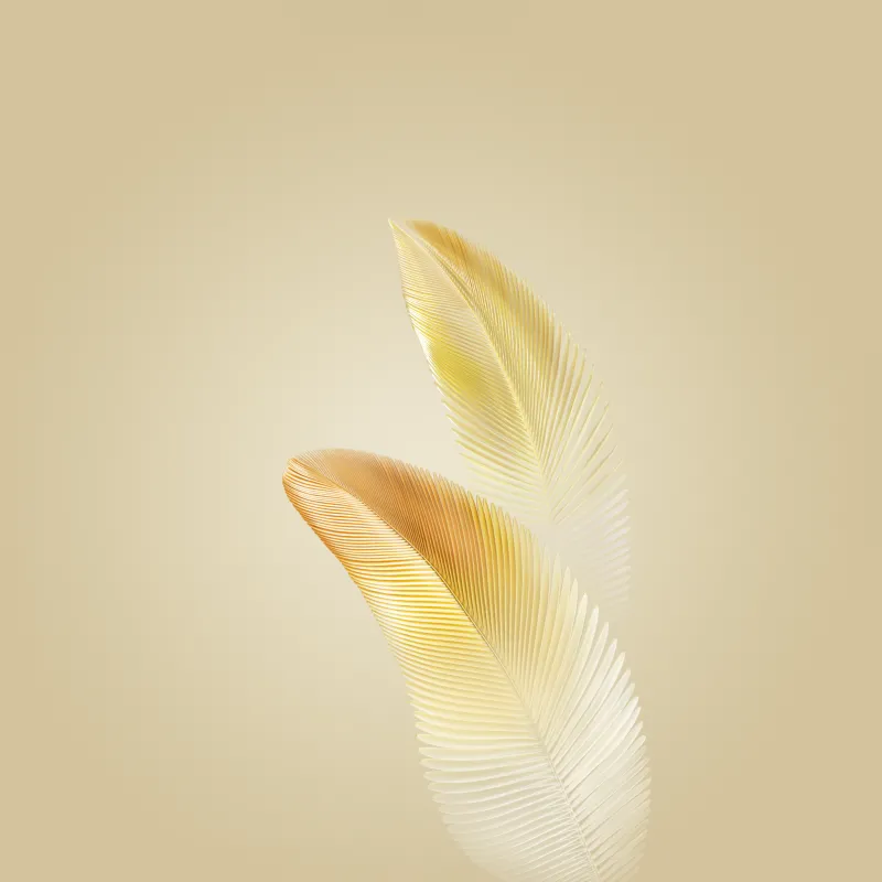 Honor Magic 6 Pro Original Wallpaper