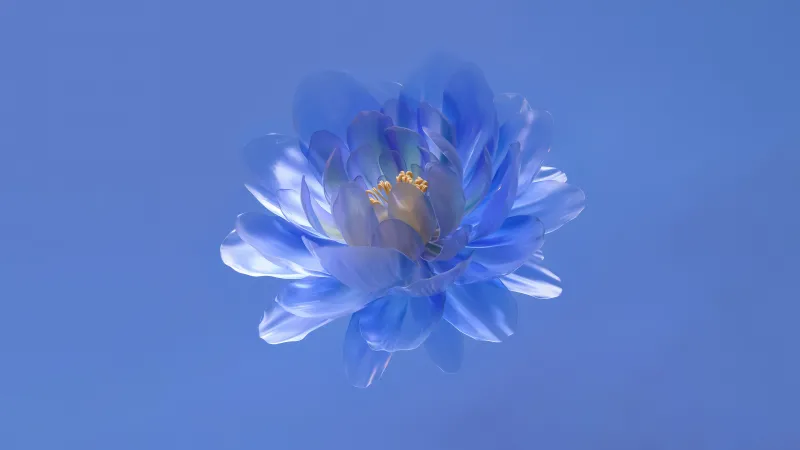 Blue glass flower, Abstract bloom, Blue background, 5K wallpaper