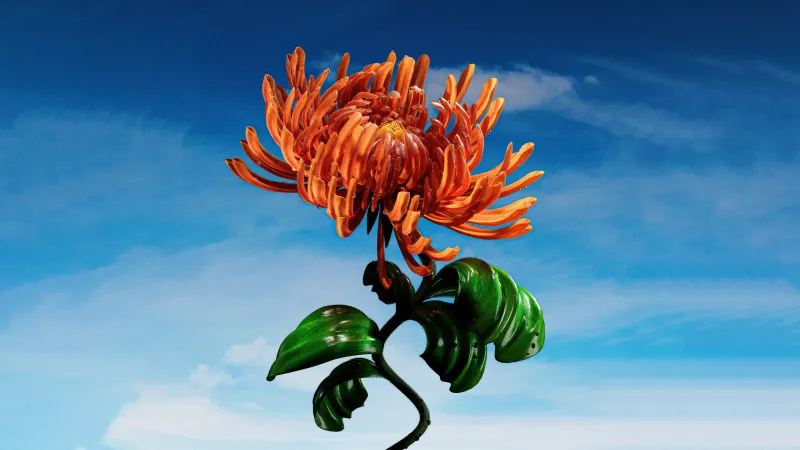 Orange chrysanthemum render wallpaper, Blue sky, Digital flower
