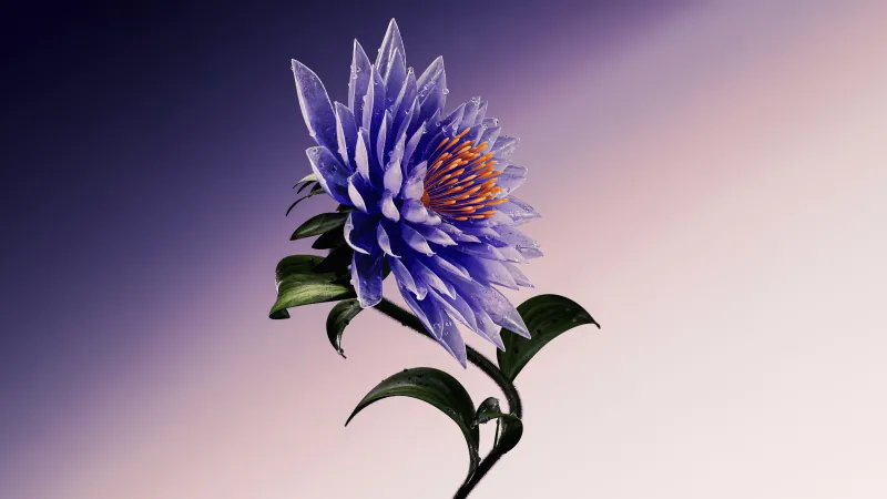 Purple 3D flower wallpaper, Pastel gradient, Digital art