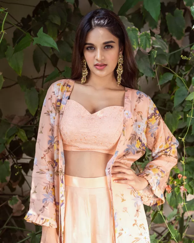 Nidhhi Agerwal, Indian actress, Telugu Actress