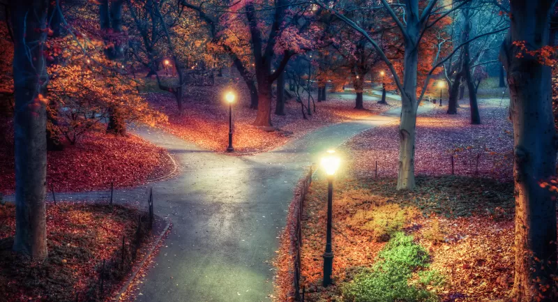 Central Park, New York City, Autumn leaves, Path, Night, Lights, Beautiful, 5K