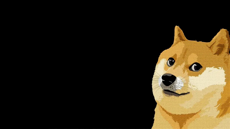 Shiba Inu Dog 4K wallpaper
