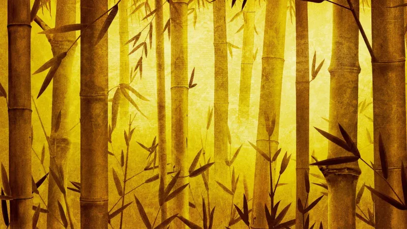 Bamboo Forest Desktop Background