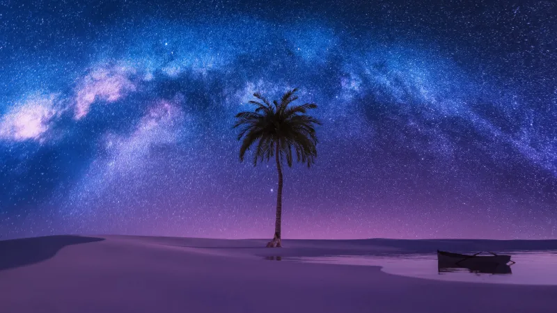 Milky Way 4K wallpaper, Nightscape, Palm tree, Surreal, Constellation, Stars in sky, Night time, Night sky, Boat, Woman