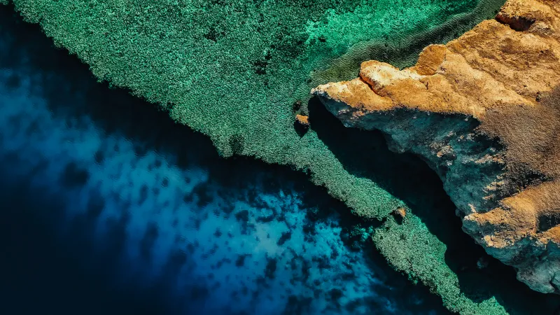 Coastline Coral reef, Drone photo, Aerial view, NEOM, Outdoor, 5K wallpaper, Blue Water
