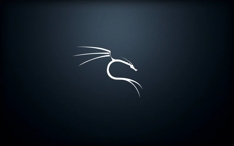 Kali Linux QHD Logo Wallpaper