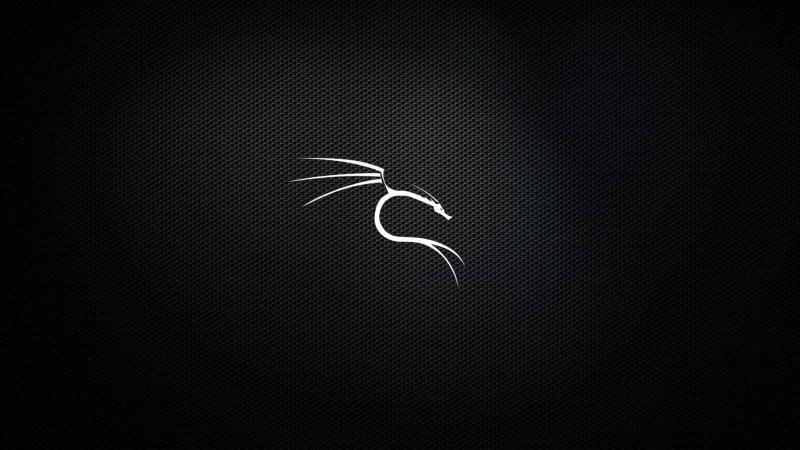Kali Linux Logo Background