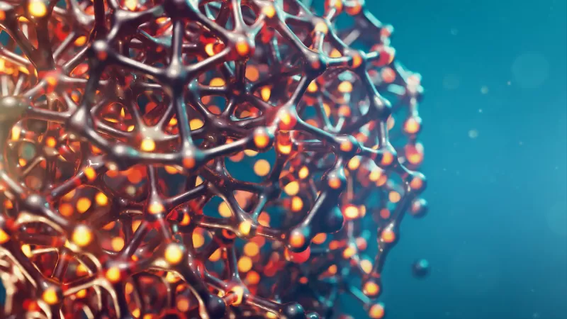 Molecular 3D model, Macro Cellular structure