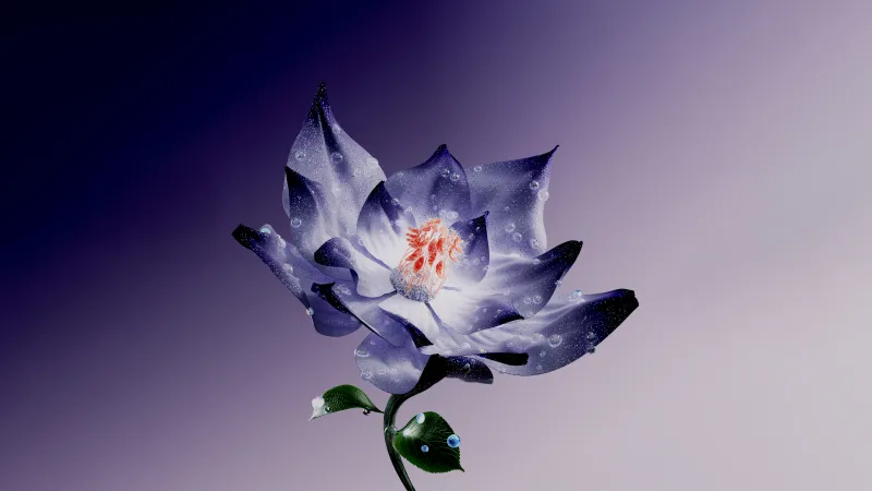 Lotus flower, 5K wallpaper, Digital Art, Purple Flower, Water Lily, Digital flower, Purple background, Purple aesthetic