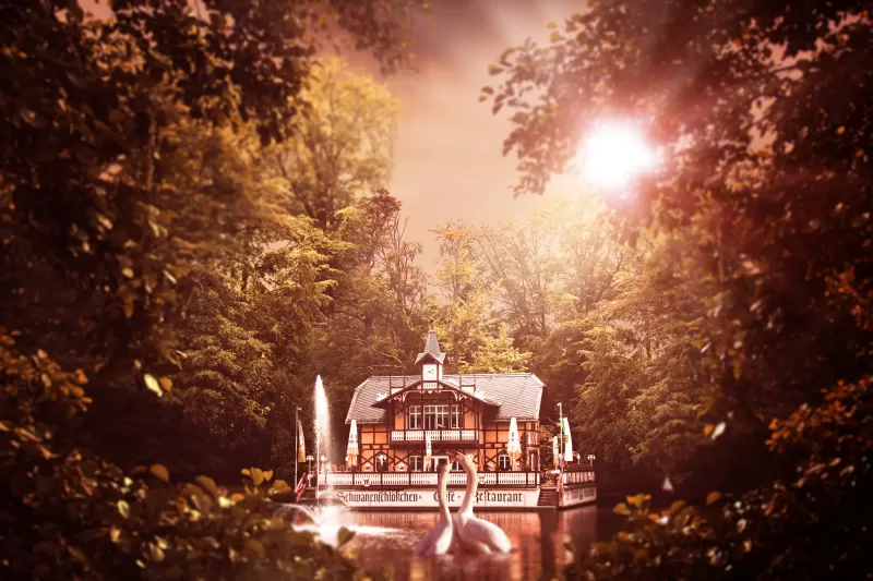Swan lake house, Freiberg, Warm sunlight, 5K wallpaper