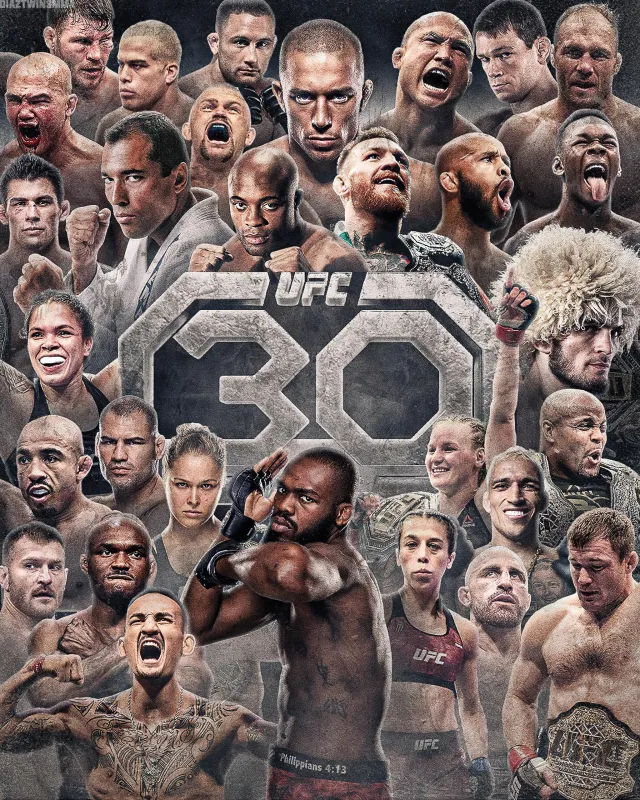 Ultimate Fighting Championship (UFC), Phone wallpaper