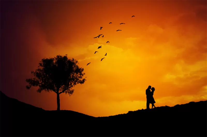 Couple, Silhouette, Orange sky, Tree, Birds, Sunset, Romantic, Landscape