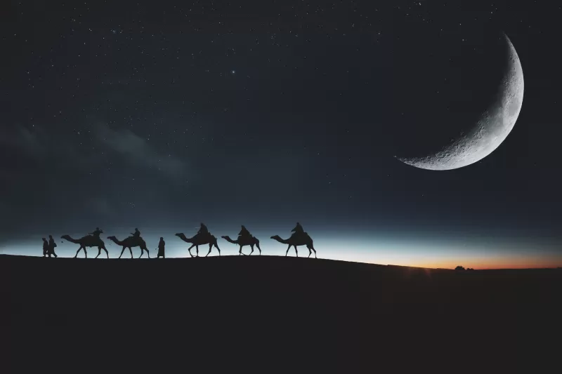 Camels, Silhouette, Moon, Dark background, Night sky, Stars, 5K, 8K