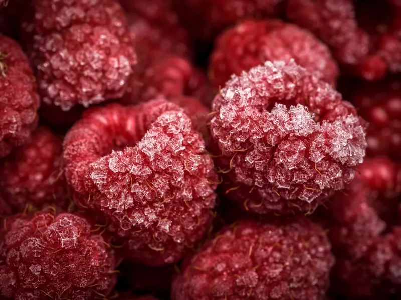 Frozen Raspberries, Macro wallpaper, Red fruits, Closeup