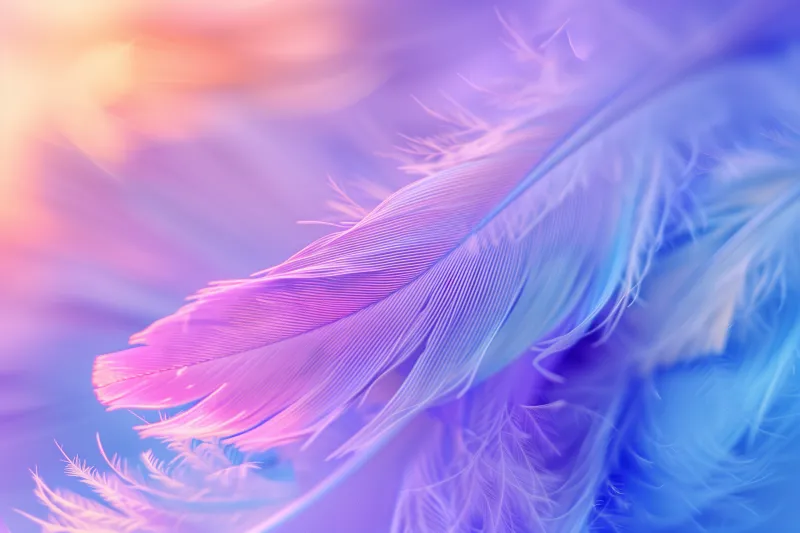 Aesthetic, Feathers, Colorful background, 5K background